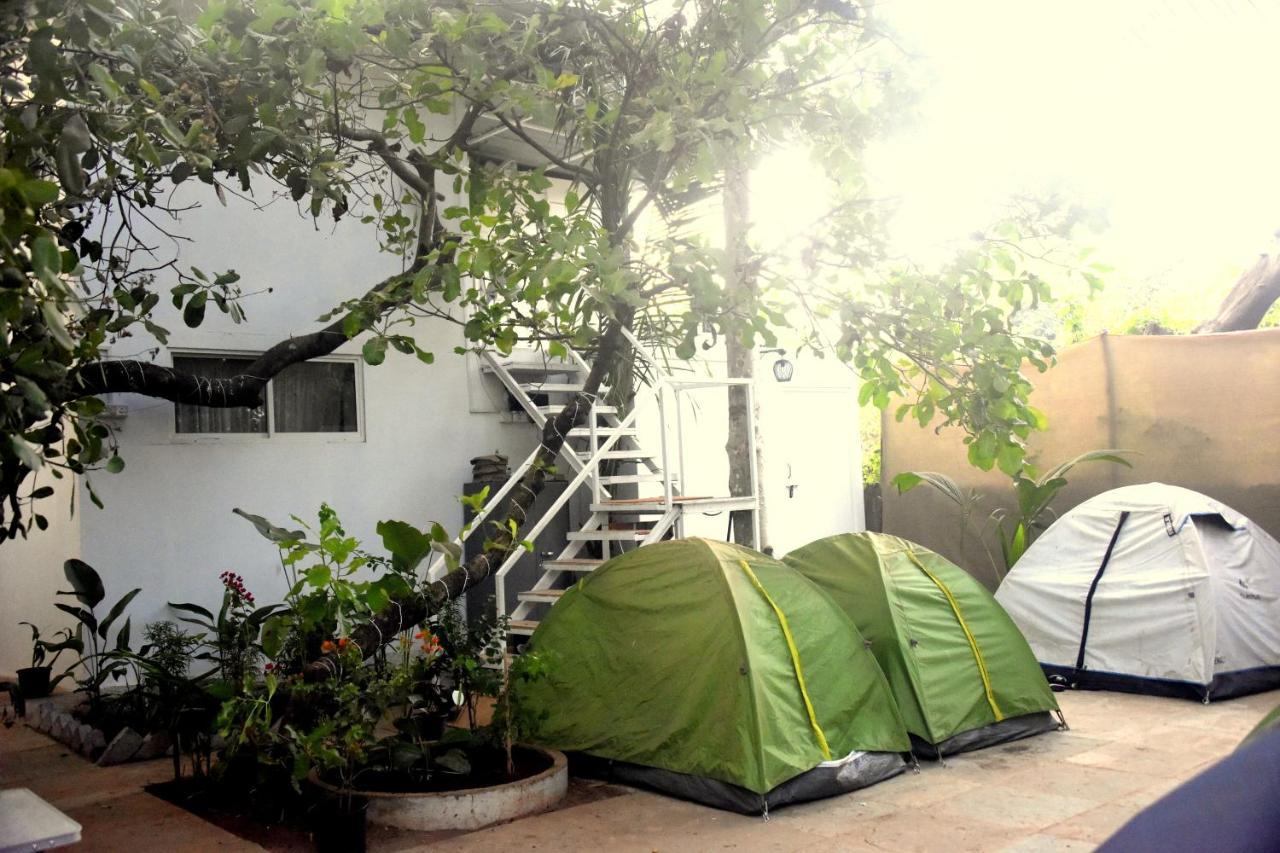 Guest house White And Tents, Vagator